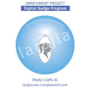 Badge Program: Photo Crafts III
Enrichment Project
larajla.com